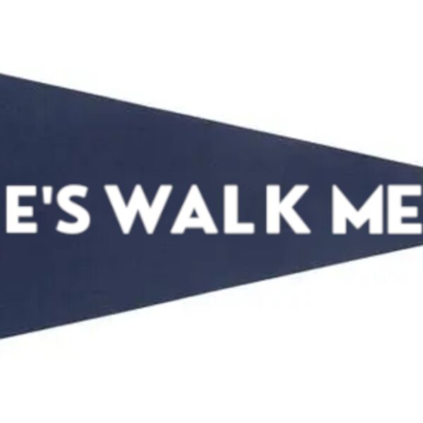 Jane's Walk 12" x 30" Felt Pennant Thumbnail