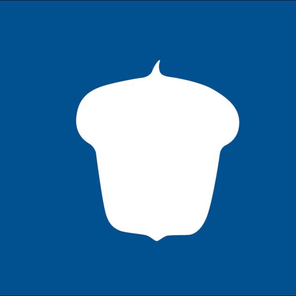 Treasurer Officer Flag Thumbnail